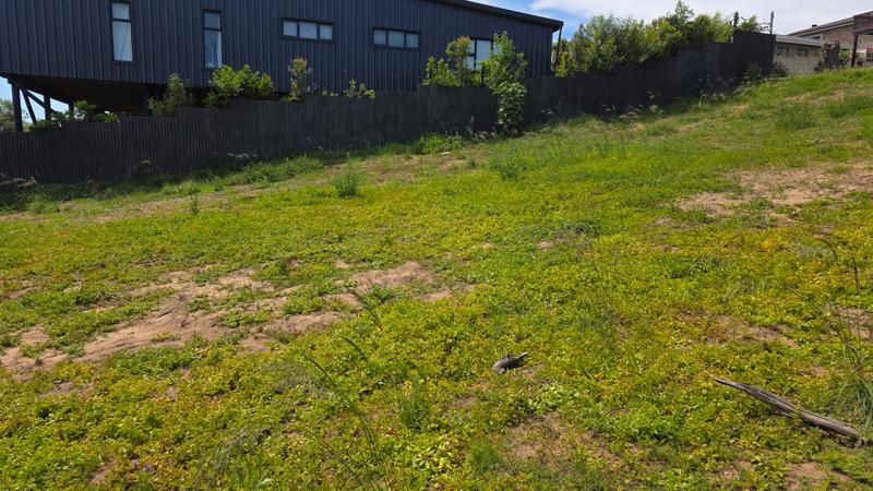 0 Bedroom Property for Sale in Reebok Western Cape